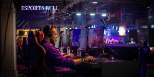 Chi tiết về nhà cung cấp Esports Bull